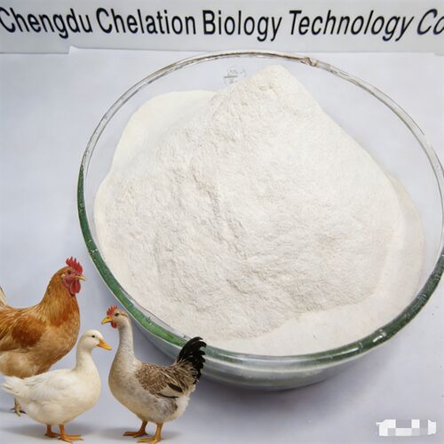 Latest company news about ऑर्गेनिक प्रोटीन चेलेटेड आयरन 20% | उच्च दक्षता पोल्ट्री फ़ीड योजक